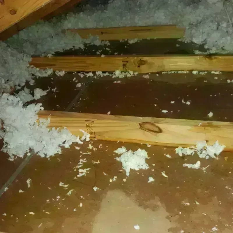 Attic Water Damage in Charlestown, RI